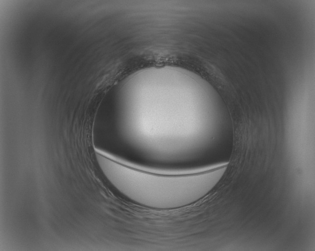 X0000051860039200506241014