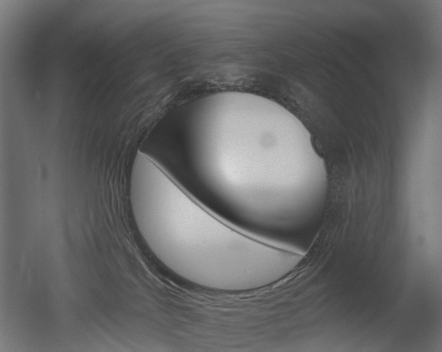 X0000051860040200506241014