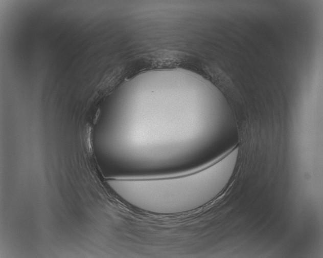 X0000051860041200506241014