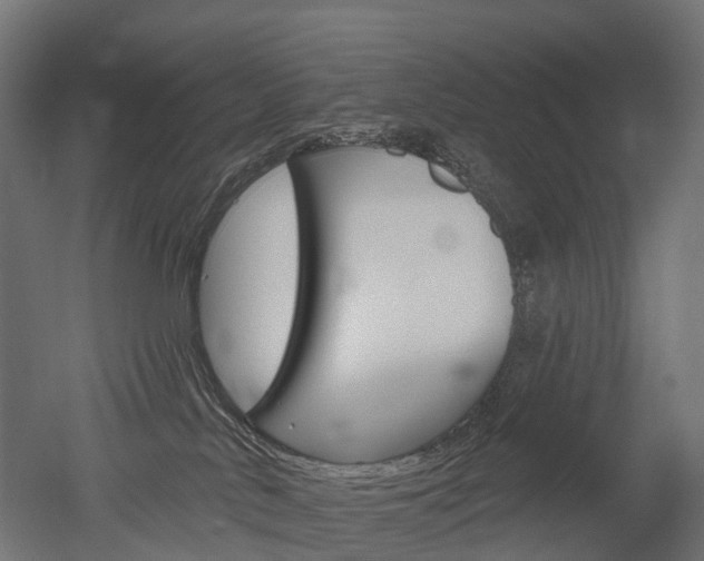 X0000051860042200506241014