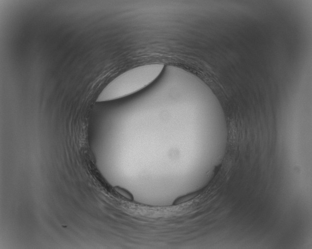 X0000051860043200506241014