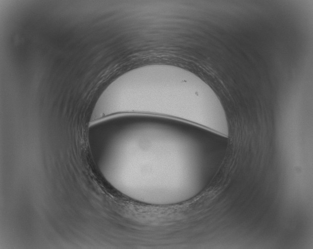 X0000051860044200506241013