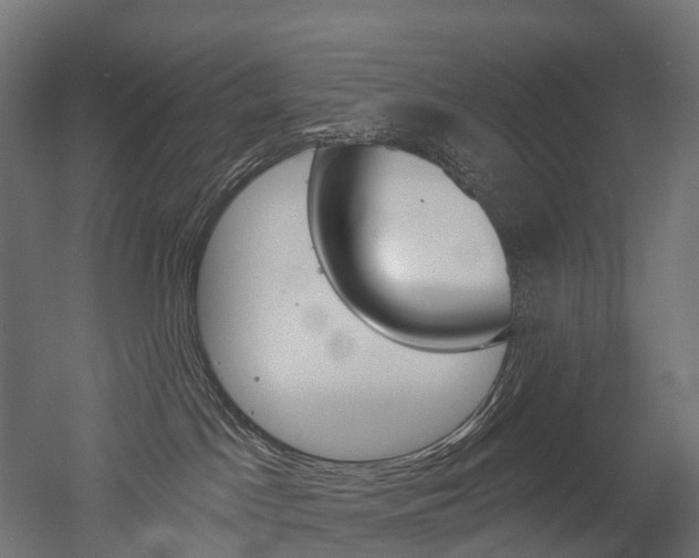 X0000051860045200506241013