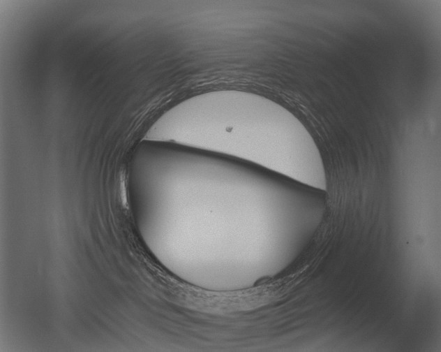 X0000051860046200506241013