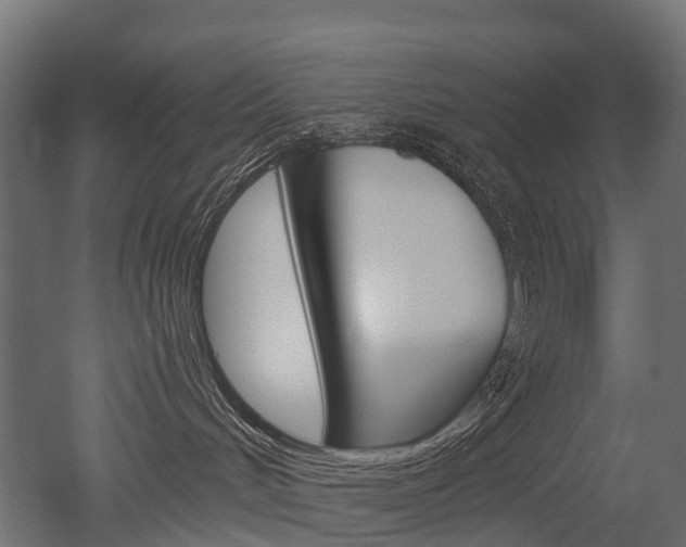 X0000051860048200506241013