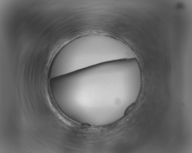 X0000051860049200506241013