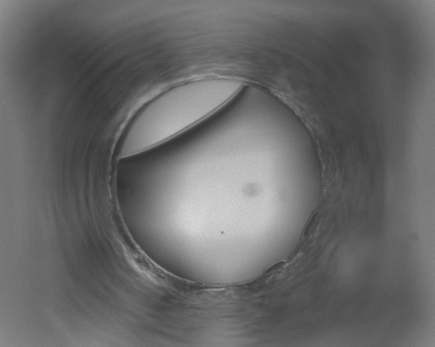 X0000051860050200506241013