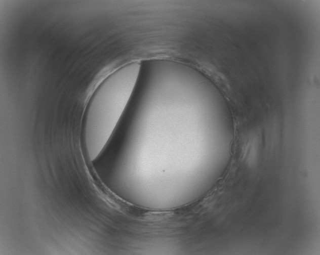 X0000051860051200506241013