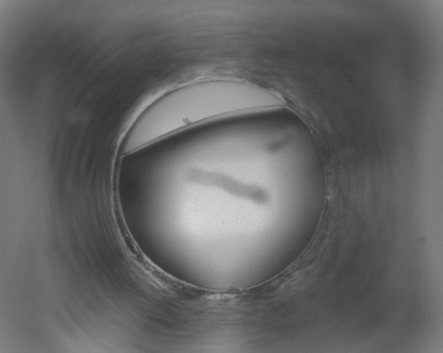 X0000051860052200506241013