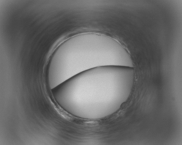 X0000051860053200506241013