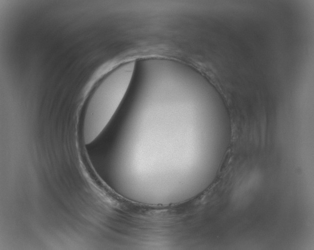 X0000051860054200506241013