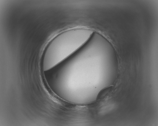 X0000051860055200506241013