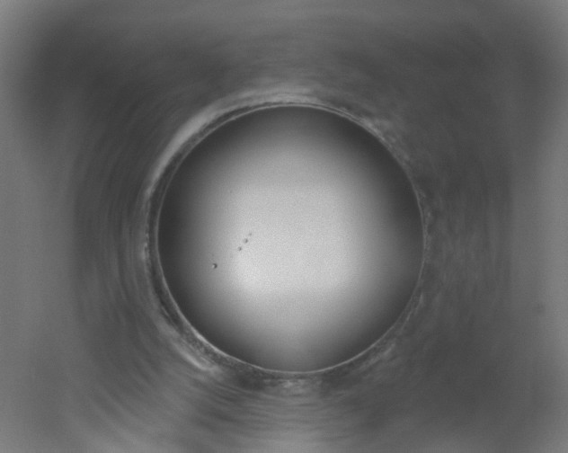 X0000051860056200506241013