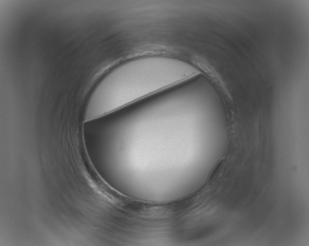 X0000051860058200506241013