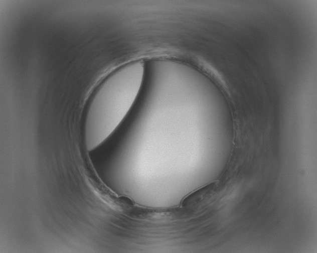 X0000051860059200506241013