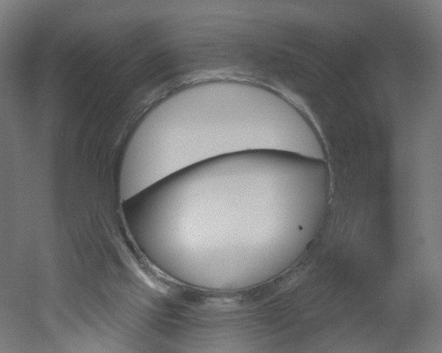 X0000051860061200506241013