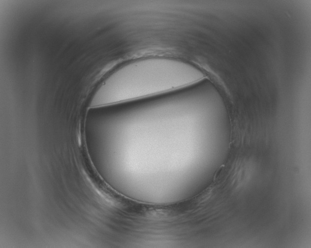 X0000051860062200506241013