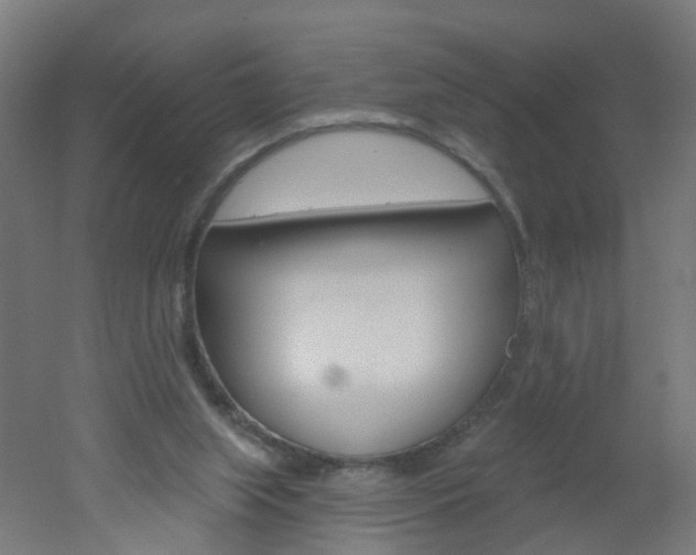 X0000051860063200506241013