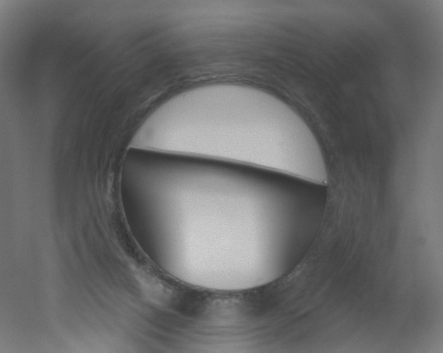 X0000051860066200506241013