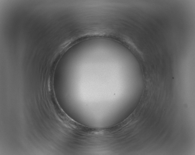 X0000051860068200506241013