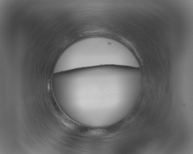 X0000051860069200506241013