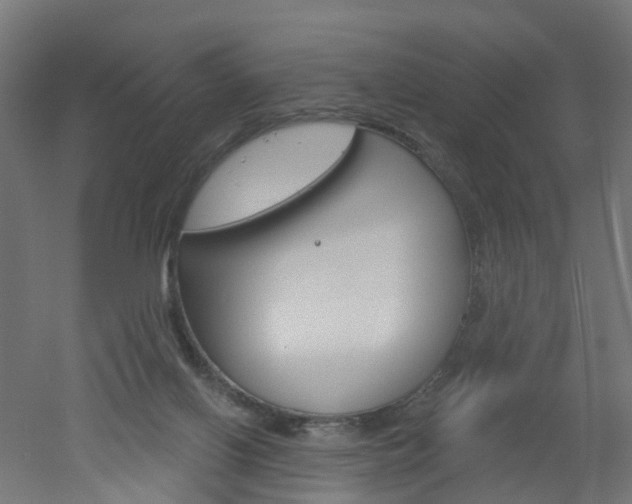 X0000051860070200506241013