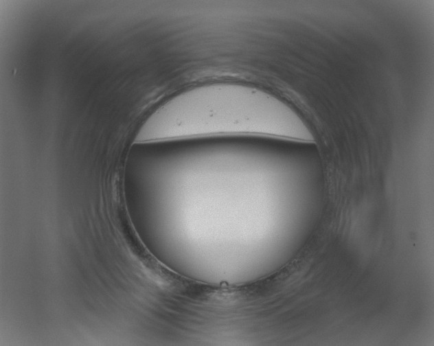 X0000051860071200506241013