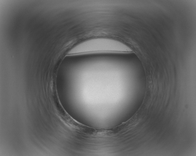 X0000051860072200506241013