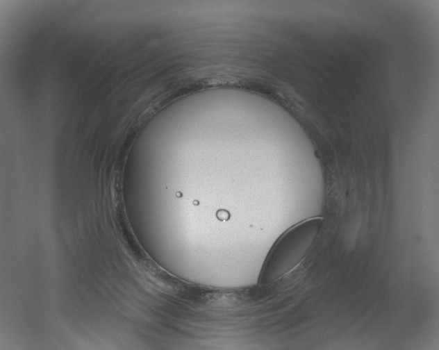 X0000051860074200506241013