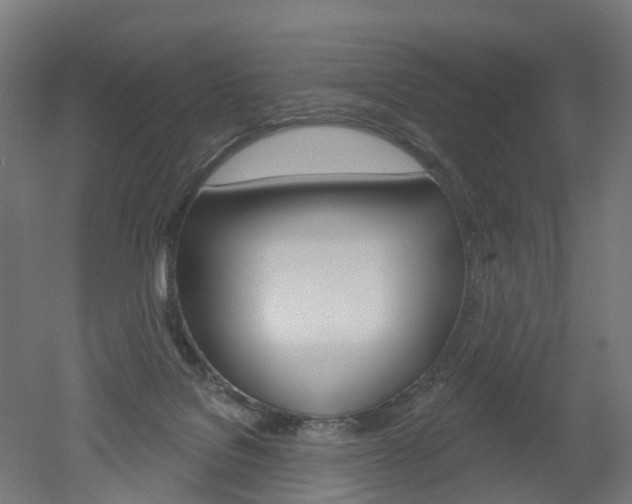 X0000051860076200506241013