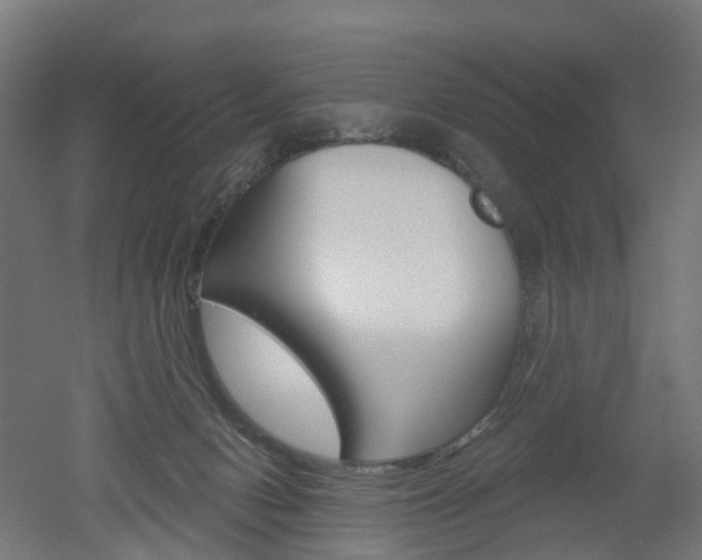 X0000051860078200506241013