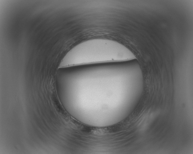 X0000051860079200506241013