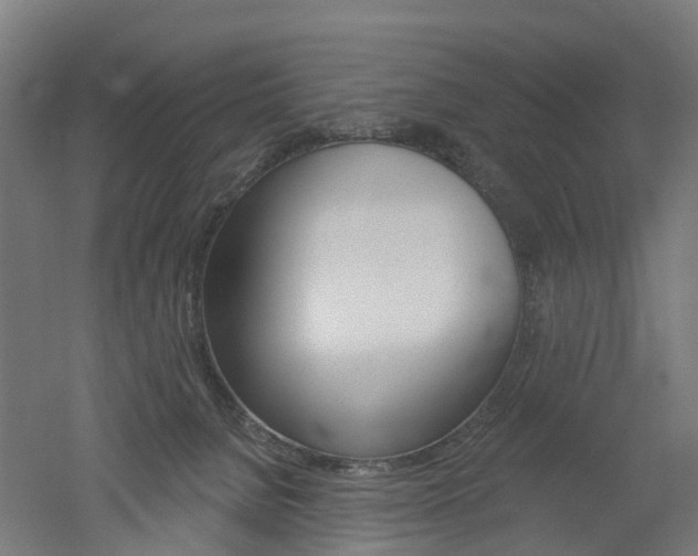 X0000051860080200506241013