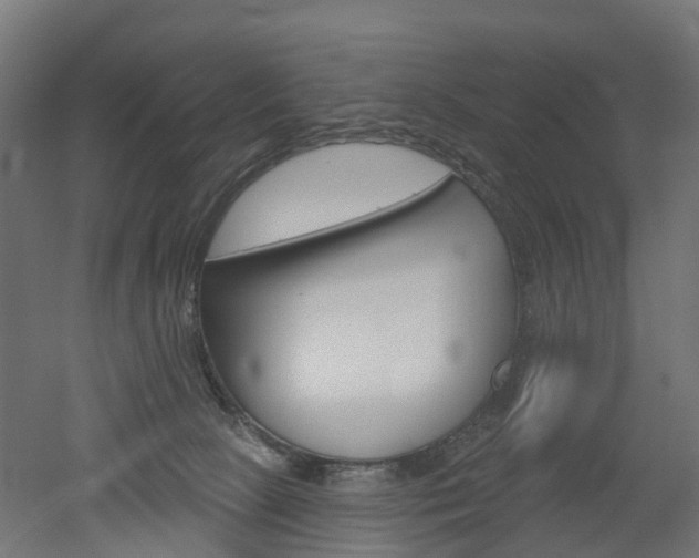 X0000051860081200506241013