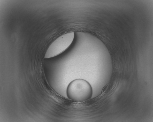 X0000051860082200506241013