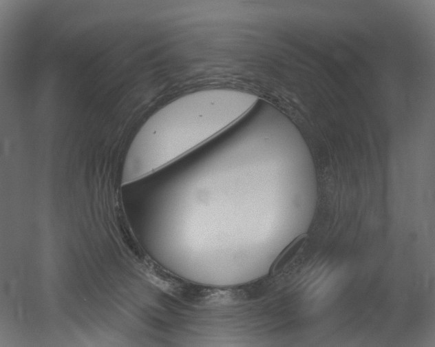 X0000051860083200506241013