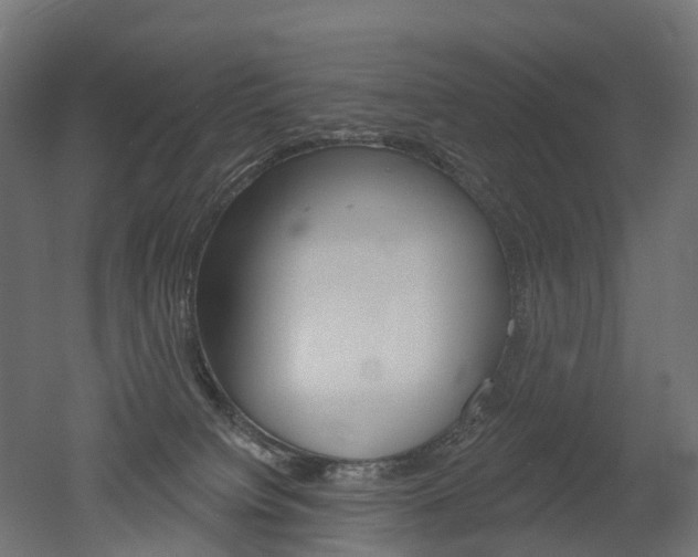 X0000051860084200506241013