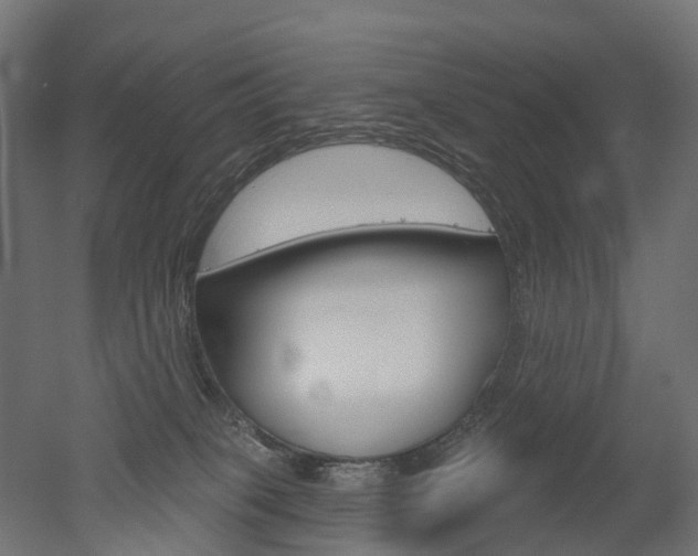 X0000051860085200506241013