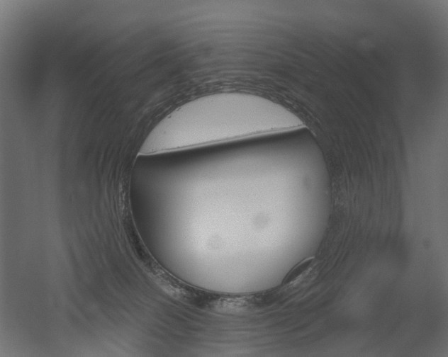 X0000051860086200506241013