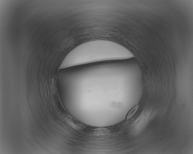 X0000051860087200506241013