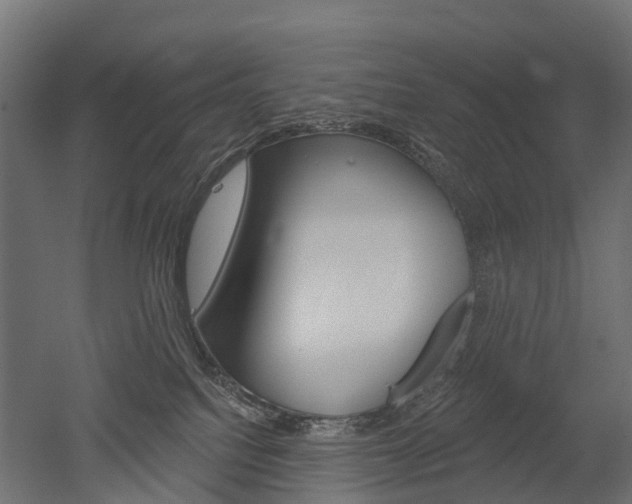 X0000051860088200506241013