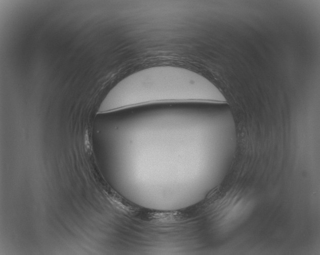 X0000051860089200506241013