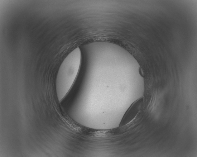 X0000051860090200506241013