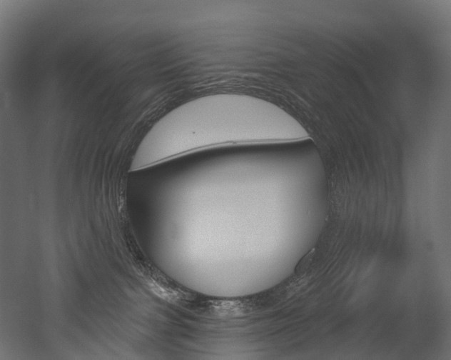 X0000051860091200506241013