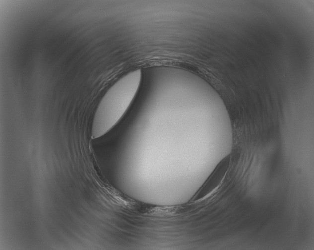 X0000051860094200506241013