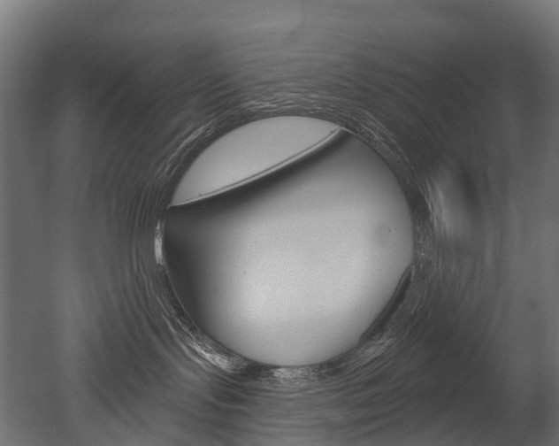 X0000051860095200506241013