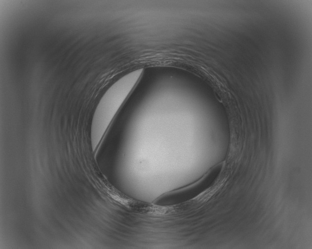 X0000051860096200506241013