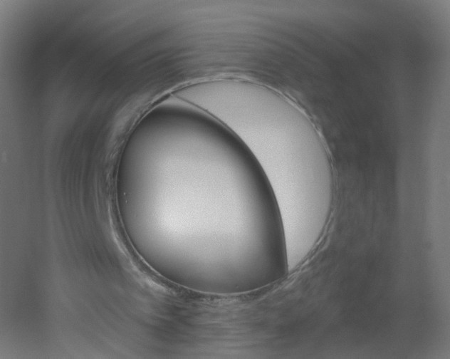 X0000051860097200506241013