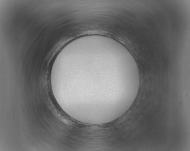 X0000051860098200506241013