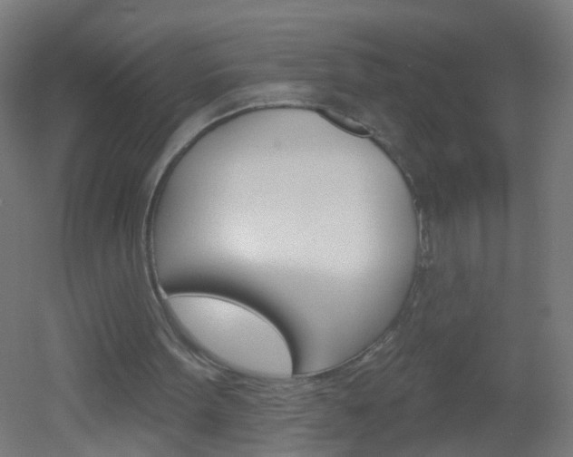 X0000051860099200506241013